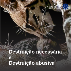 Destruição necessária e destruição abusiva